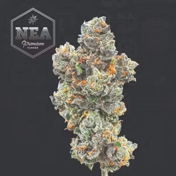 Canal St. Runtz (IH) | 3.5g|  Flower | 32.5% | Terps 1.84%