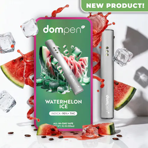 Watermelon Ice All-In-One (1g)-active