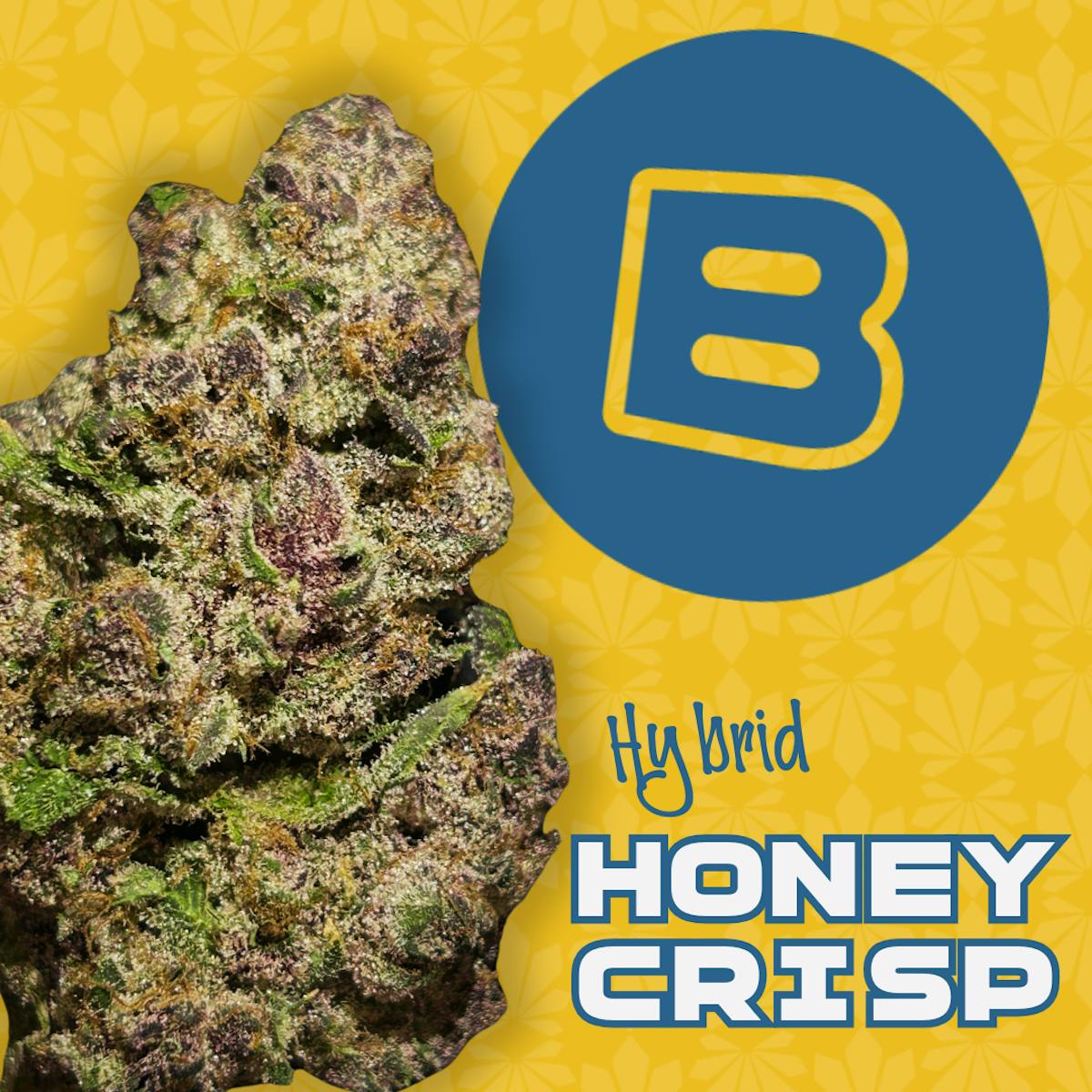 Photo of Honey Crisp | 2.83g