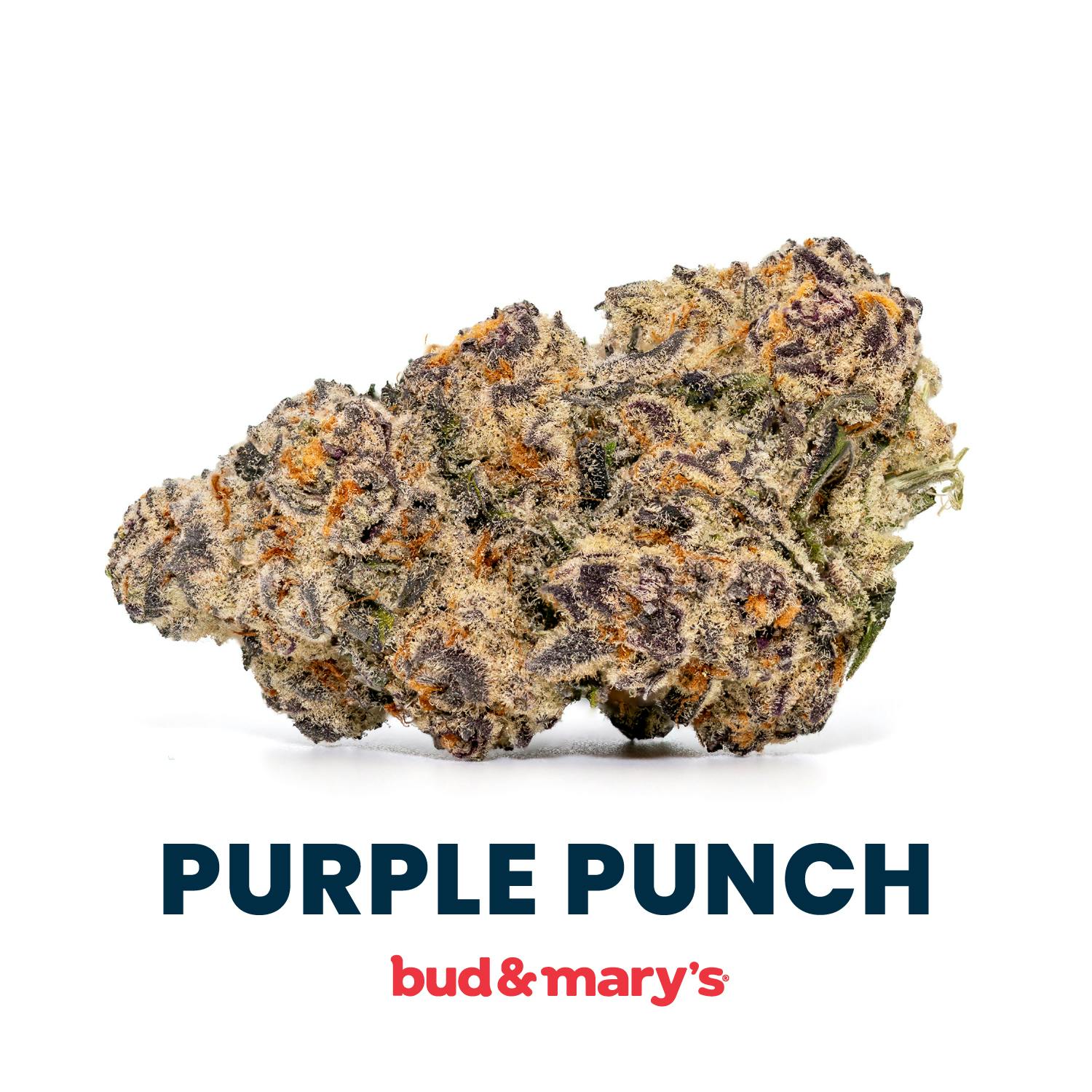 Product: Bud & Mary's | Bulk Bud - Purple Punch