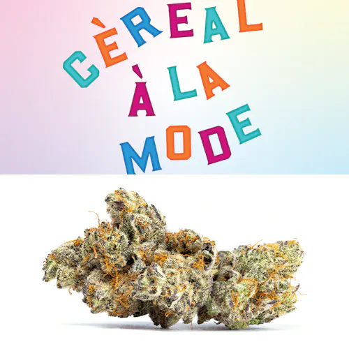Cereal A La Mode – 3.5g – Managers Special-1
