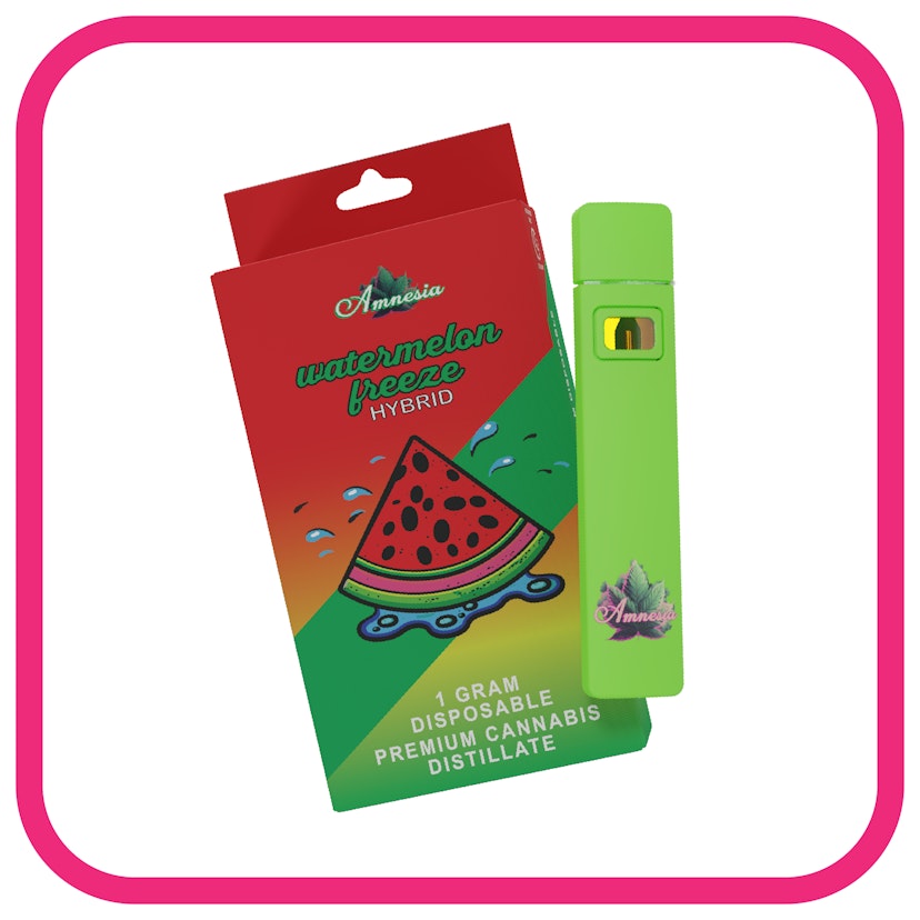 Amnesia Disposable | Watermelon Freeze