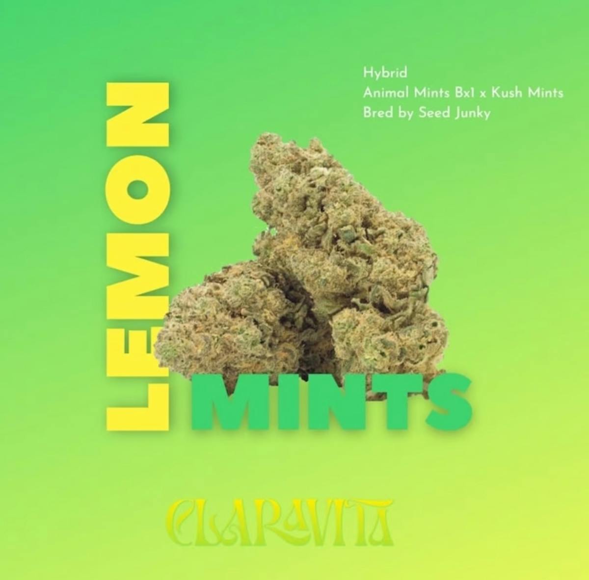 Photo of Lemon Mints 3.5g Flower Claravita