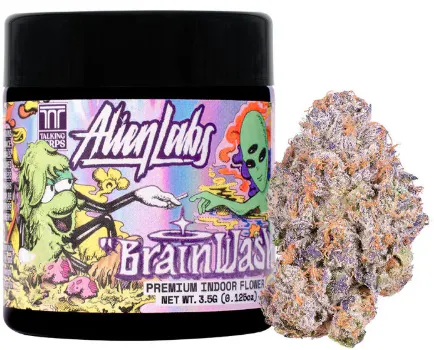 Brain Wash [H] - Flower | Culture - Banning