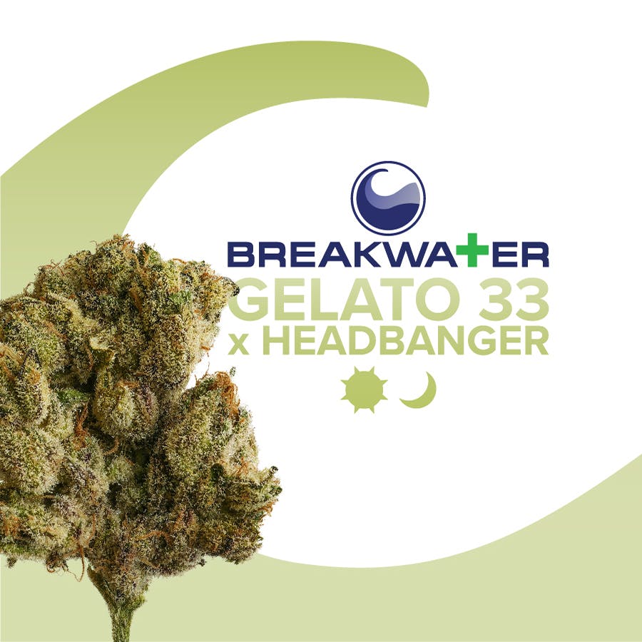 Breakwater, Gelato 33 x Headbanger Flower