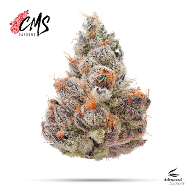 Dispensary Menu Near You | MA & RI