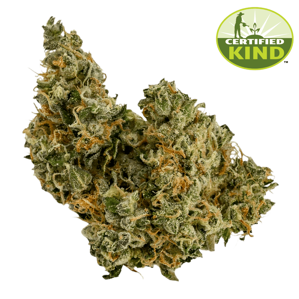 Jungle Garlic #4 Whole Flower