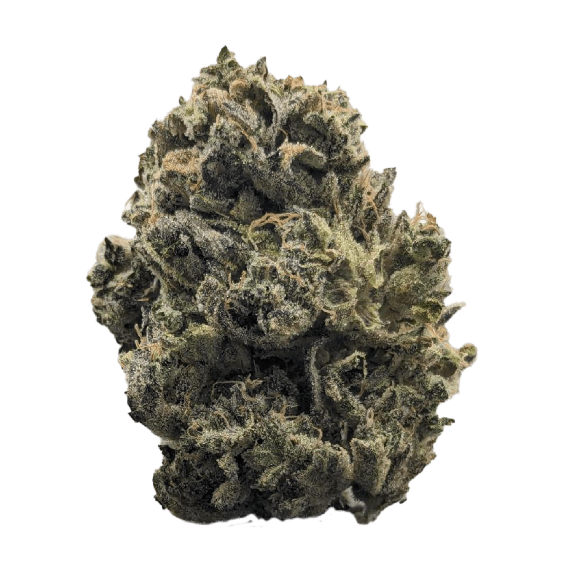 Durban Funk Flower - 