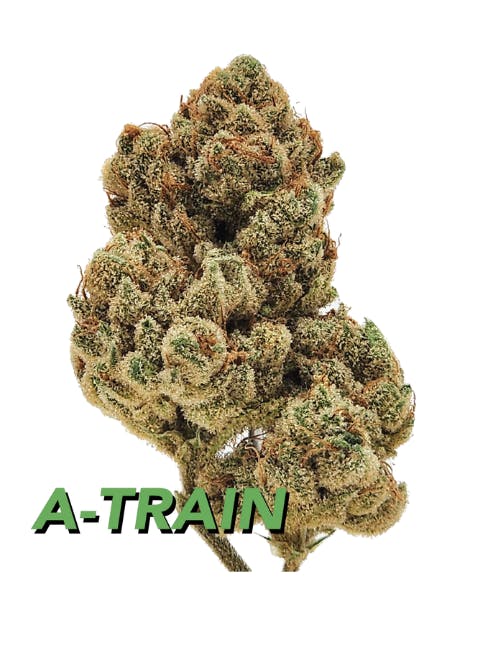 UrbanXtracts A-Train - 3.5g - Cannabis Flower-1