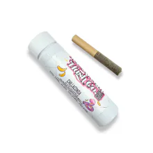 Ice Kream Hash - .5g Rosin Infused Preroll - Chillaconda