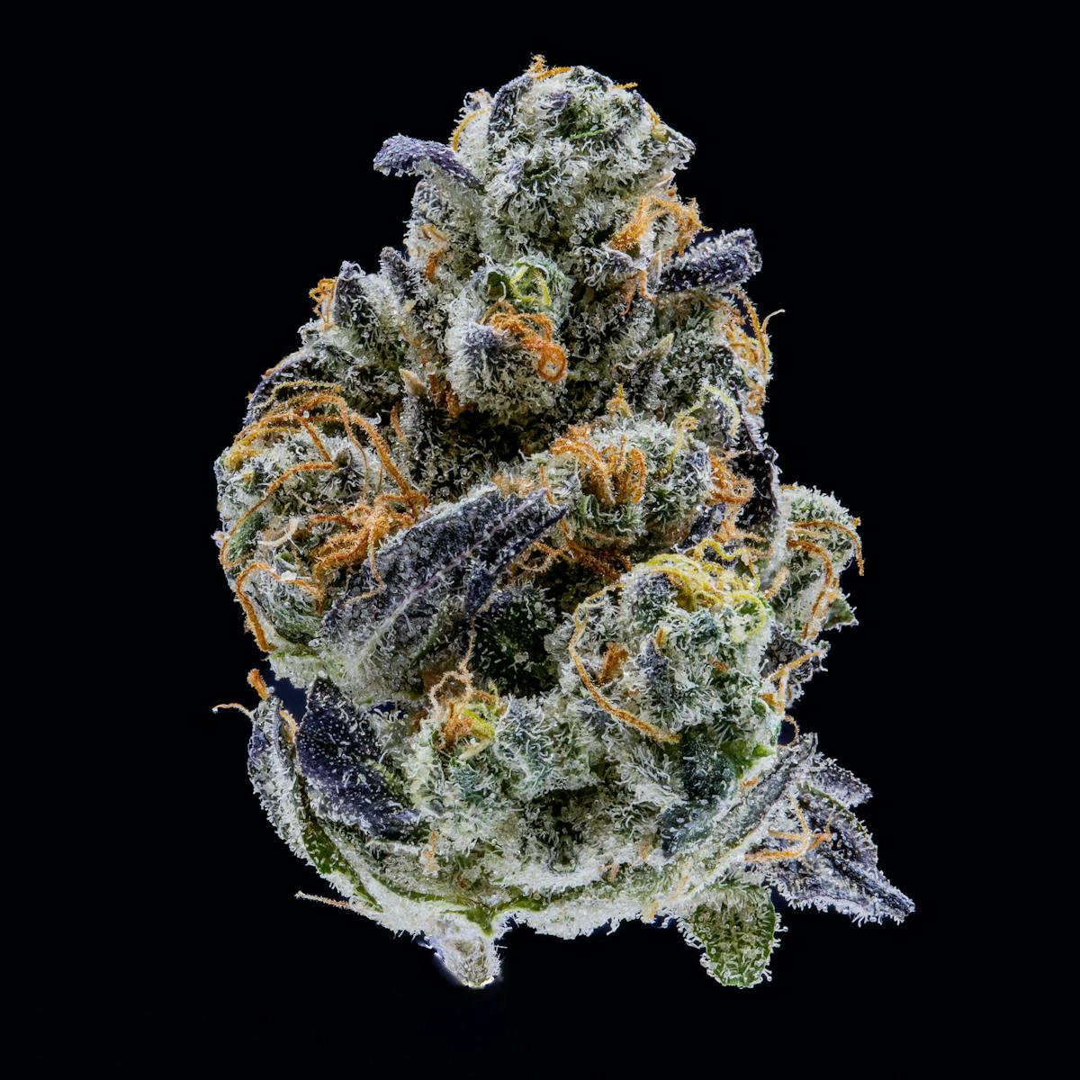 Image of Ricky Bobby | 3.5g