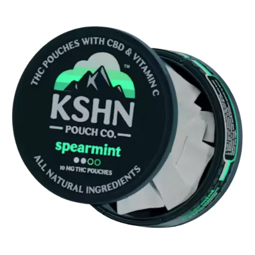 KSHN Pouch Co. Citrus THC Pouches 20 Pack 200mg THC | The Fire