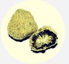 25% Off Moon Rocks 