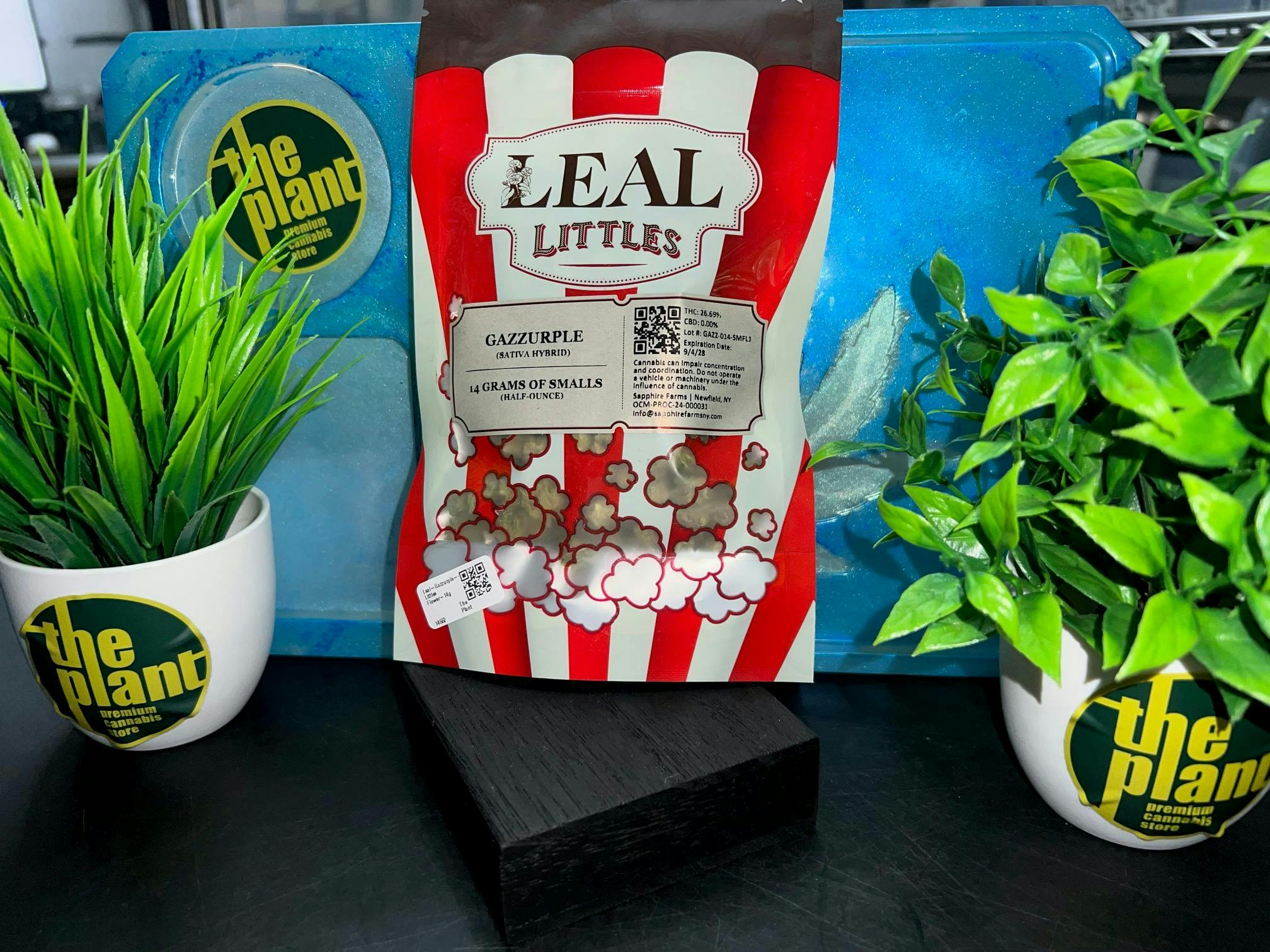 Leal | Gazzurple | Packaged Little Flower