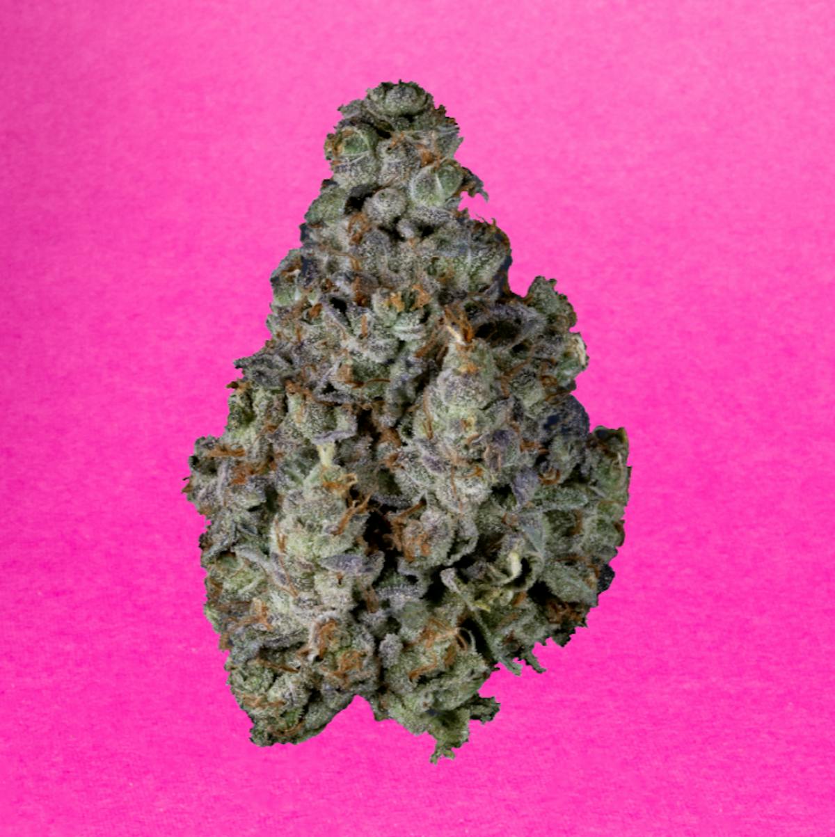 Photo of GMO (I) | 2.83g