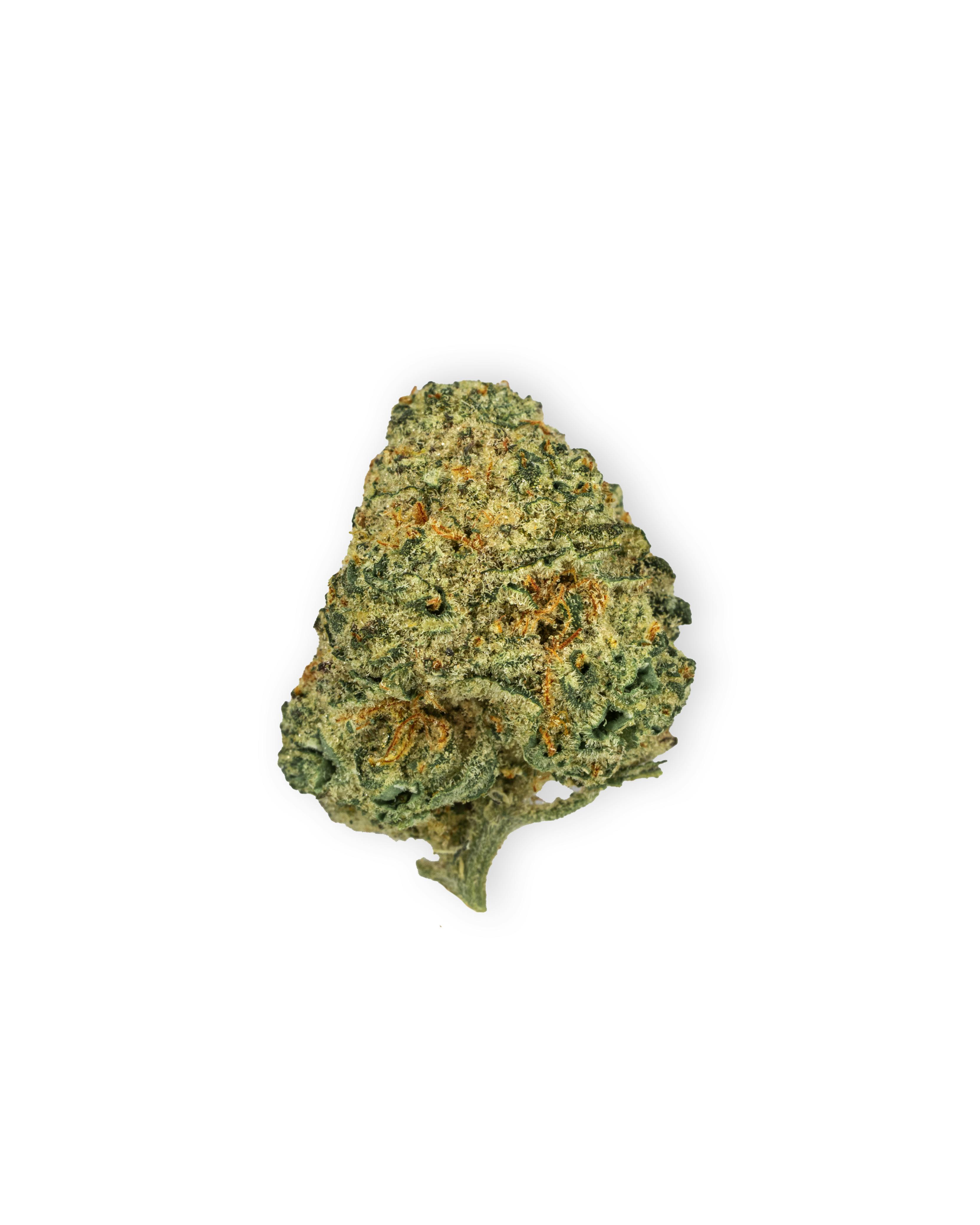 ほぼ新品 Kapital フラワーウエストポーチ WEED 420 Shop Back Home Cannabis Co. MAUI WOWIE in New York | Gotham NYC