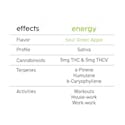 Energy Sour Green Apple (S) | 100mg | Gummies | Kynd - Thumbnail 2