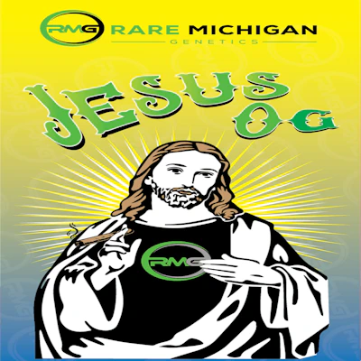 DELI - Rare Michigan Genetics - Jesus OG