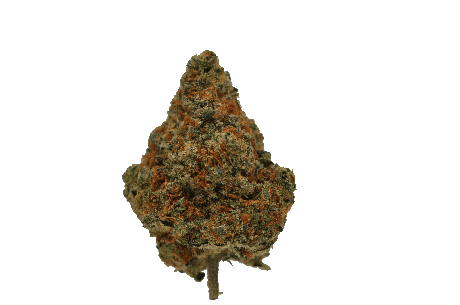 image of White Sunrise | 3.5g Prepackaged Flower
