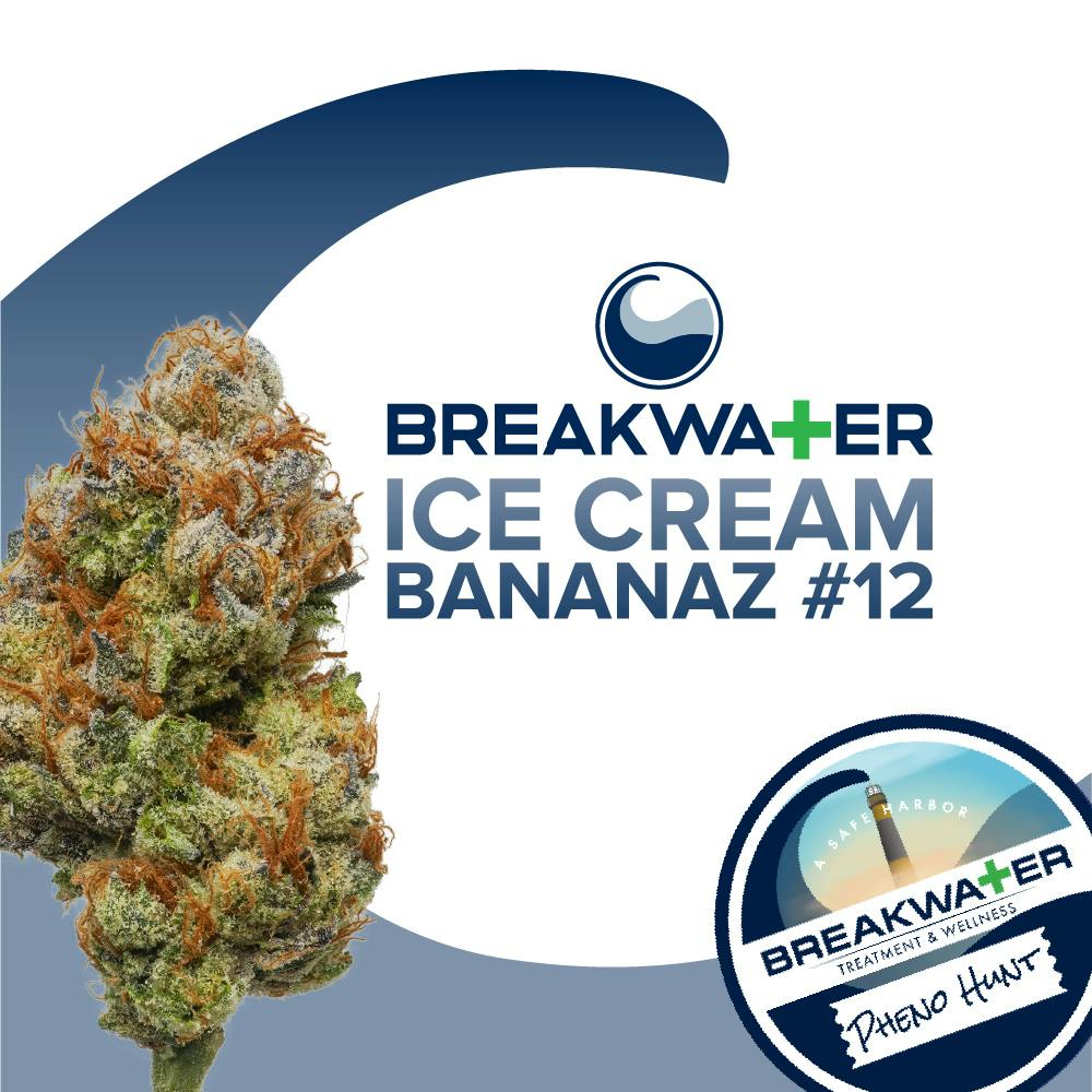 Ice Cream Bananaz #12