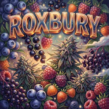 DELI - Michigrown - Roxbury - FLOWER by Michigrown at King of Budz