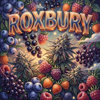 DELI - Michigrown - Roxbury - product image at King of Budz