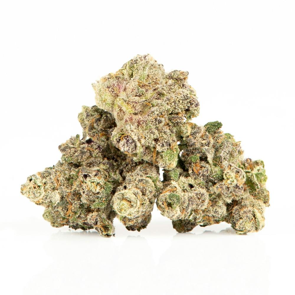 GATSBY CANNABIS CO. ELYSIUM | THIN MINT X JEALOUSY | BULK | INDICA/HYBRID — PRE_ROLLS