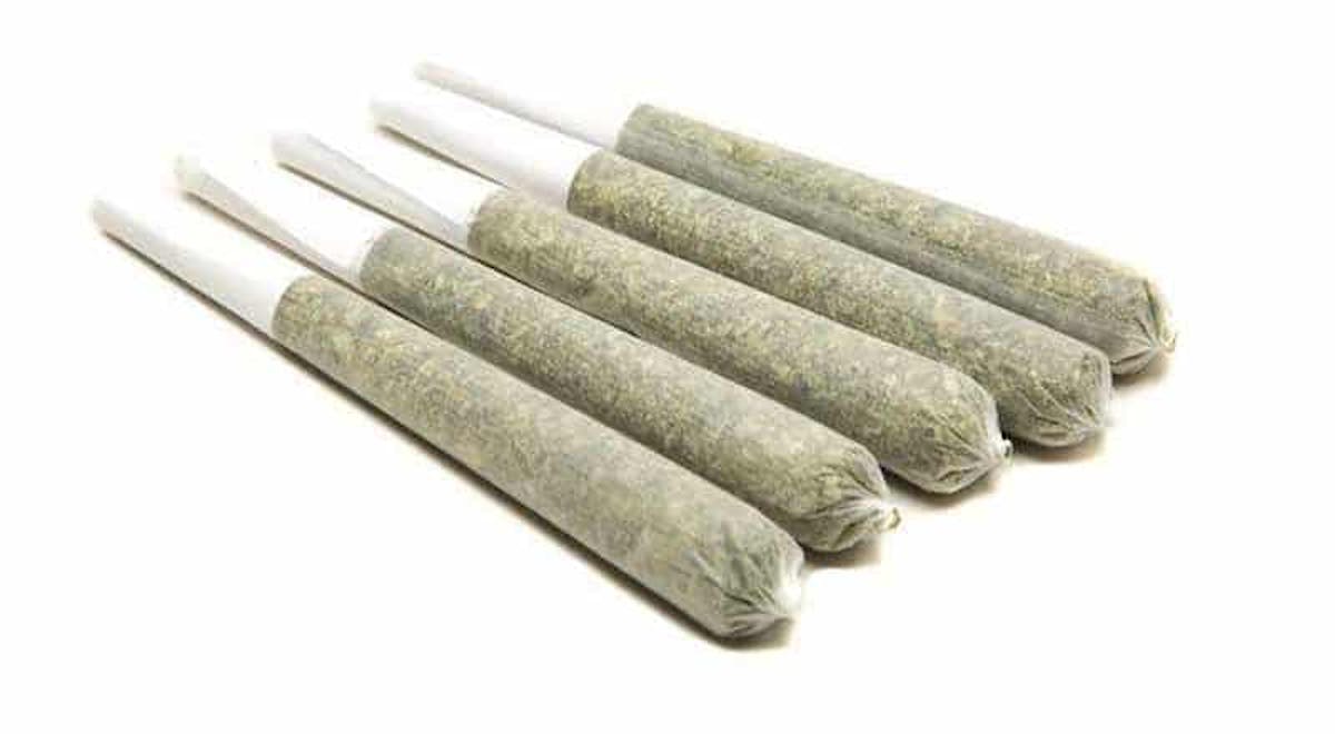 Image of Shangri-La | 1g 5pk | 5g