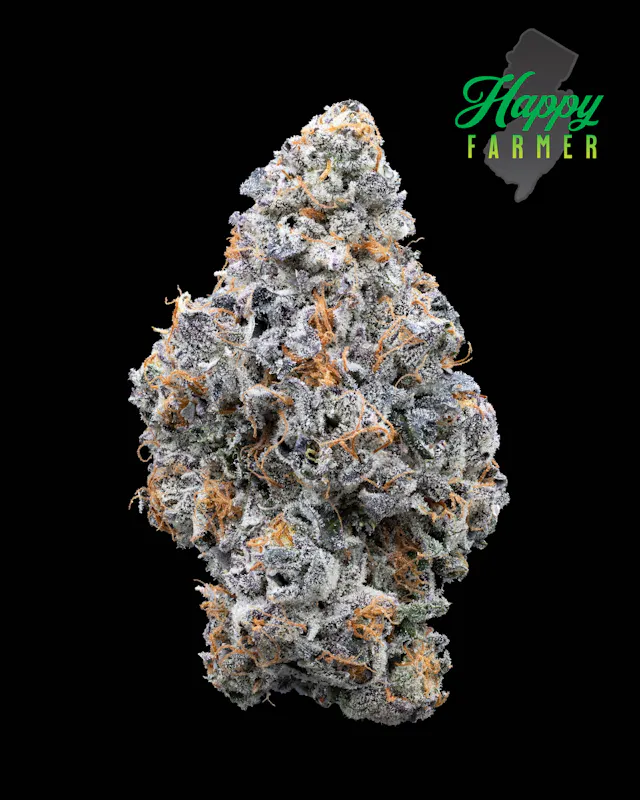 Happy Farmer Smalls Lemon Cherry Fritter 7g (hybrid, small buds)