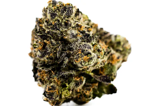 PURPLE PANTY DROPPER-active