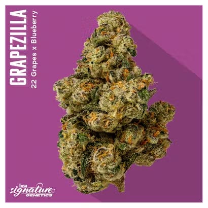 Product Grapezilla | Flower | 14g