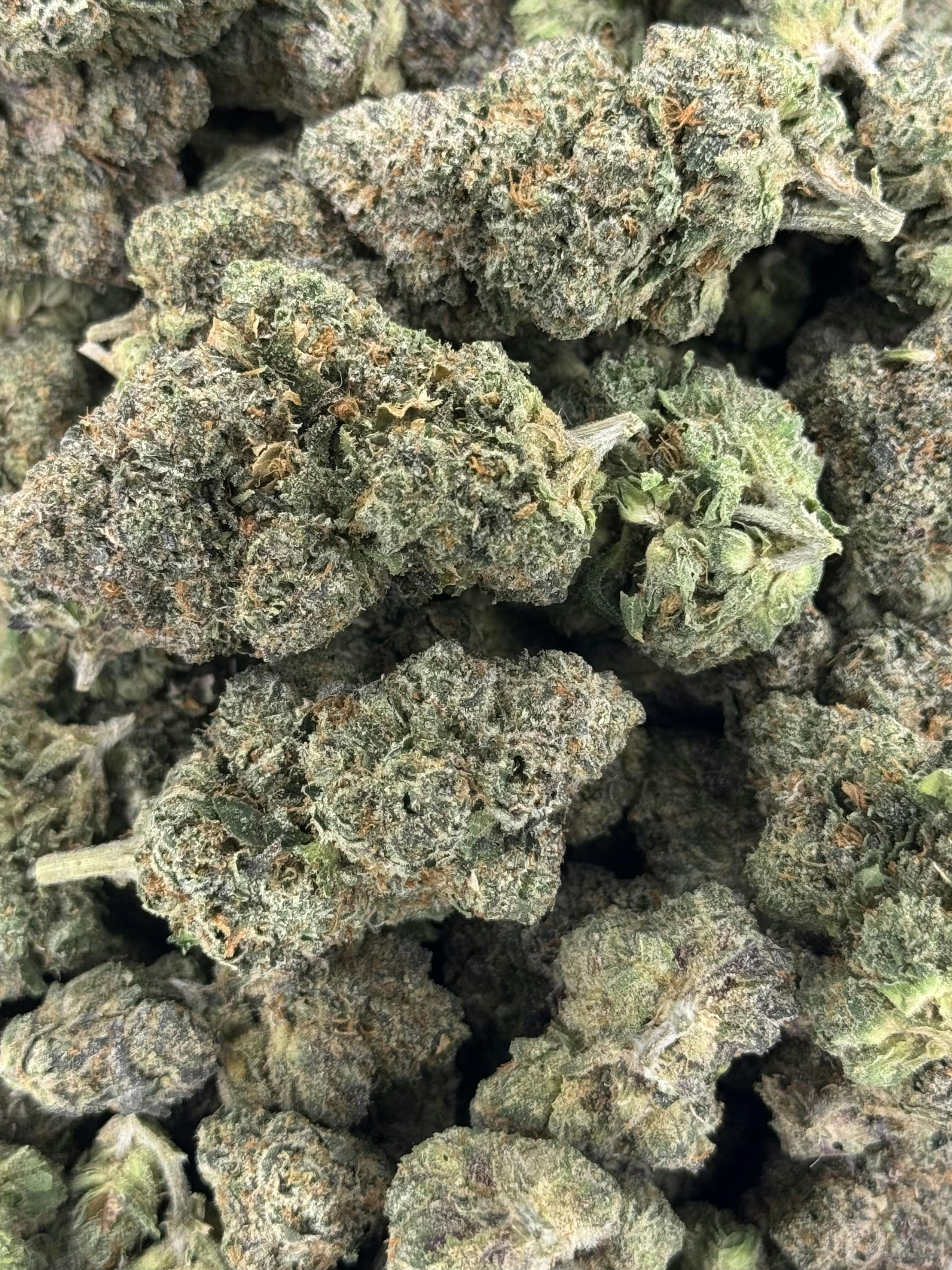 Billy Kimber | Deli Flower (Gold)