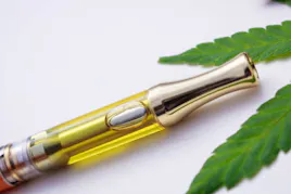 Vaporizers category image