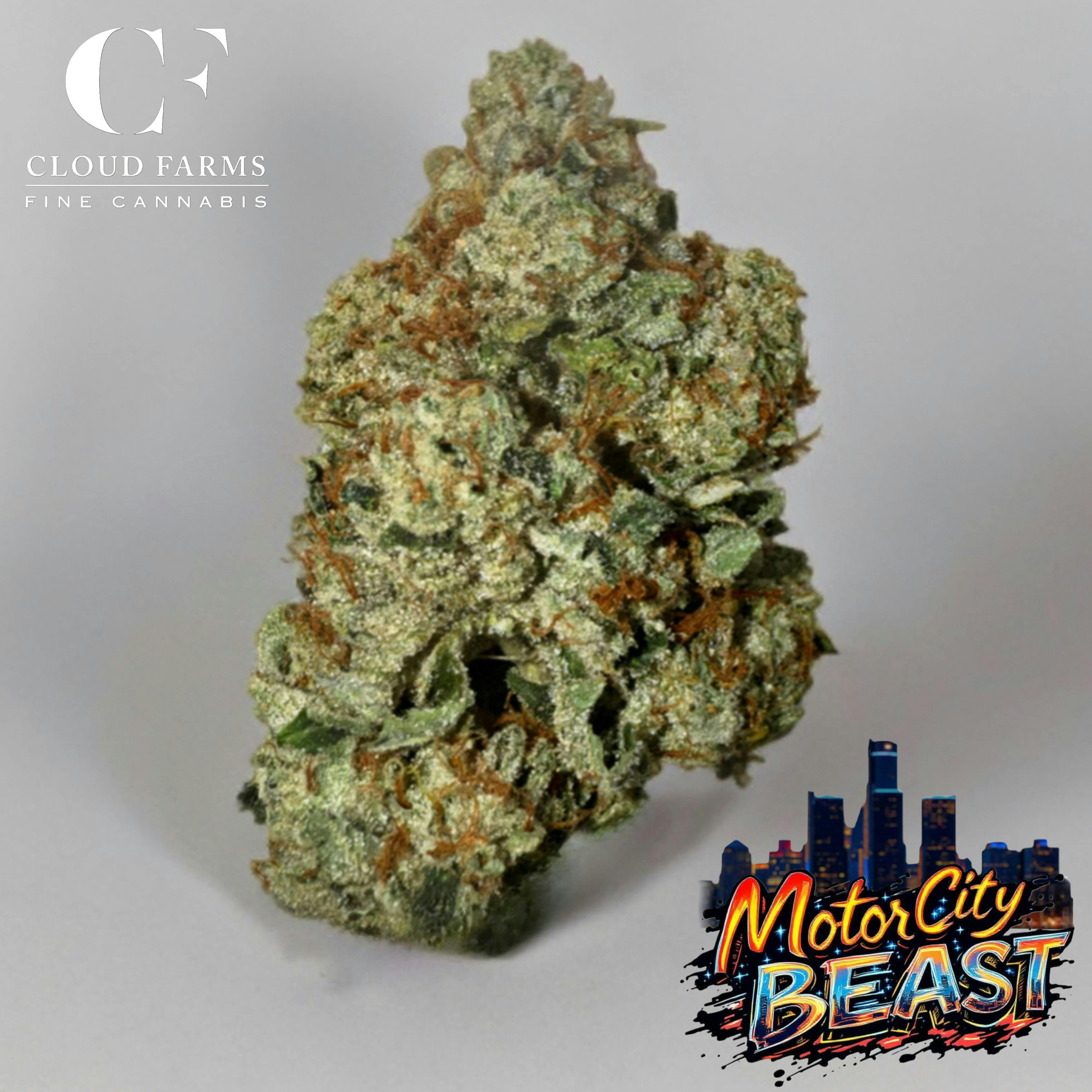 Product: Cloud Farms | Pre-Pack - 3.5g - Motor City Beast