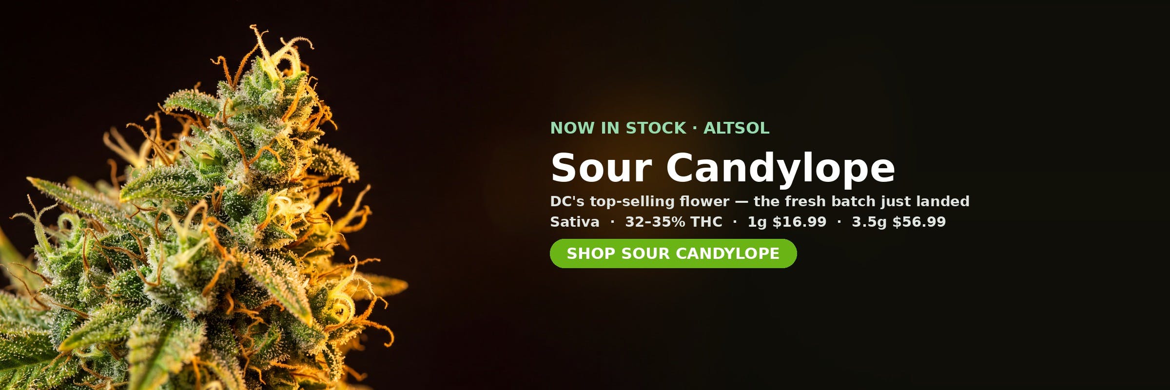 Sour Candylope now in stock at MrGreen DC — Sativa, 32-35% THC, 1g $16.99, 3.5g $56.99