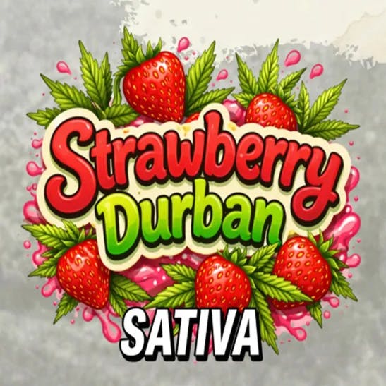 Detroit Dope - 1.2g Infused Preroll - Strawberry Durban