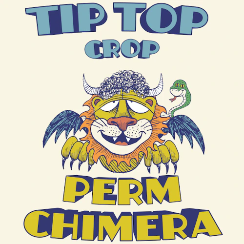 DELI - Tip Top Crop - Perm Chimera