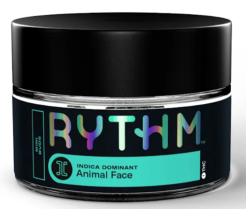 Animal Face | Mini Buds | 7g-1