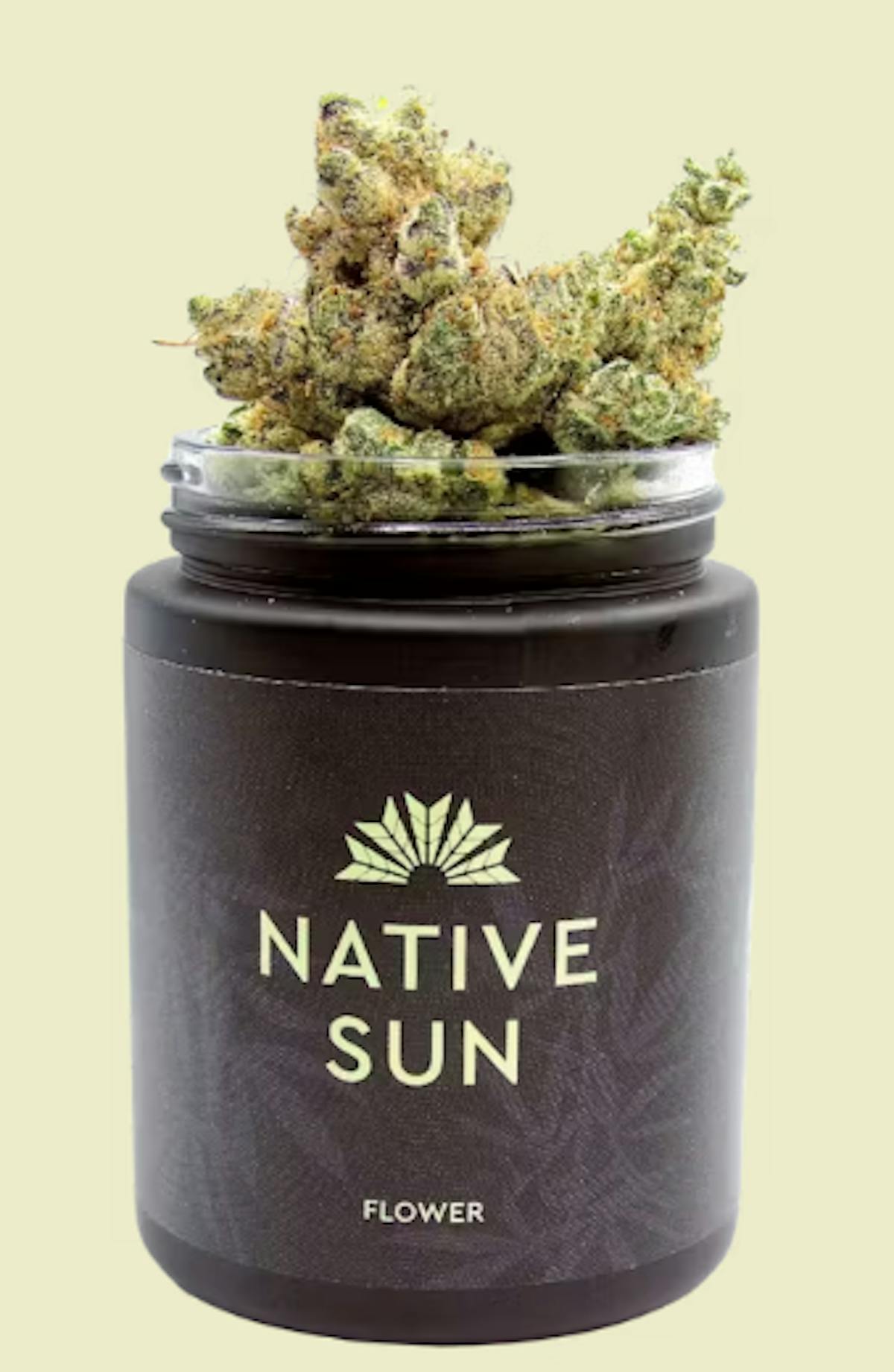 Image of Sleezy Rider- 3.5g Flower- Native Sun