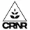 dispensary logo