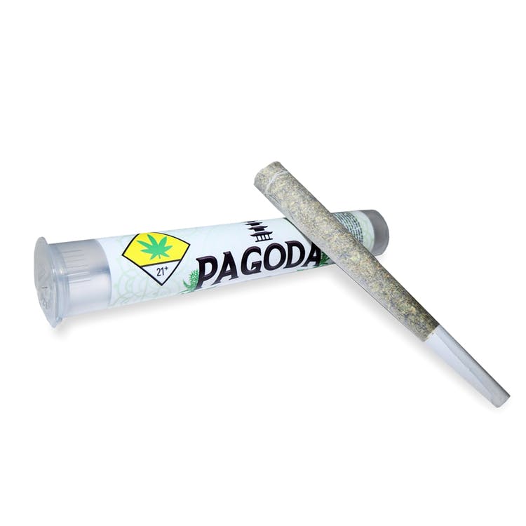 Pagoda: Outrageous Tangie - PR | Zips Cannabis Everett