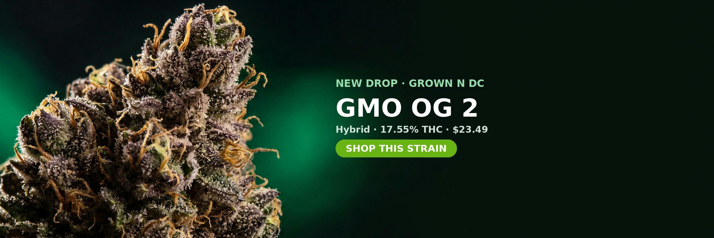 GMO OG 2 now in stock at MrGreen DC — 17.55% THC