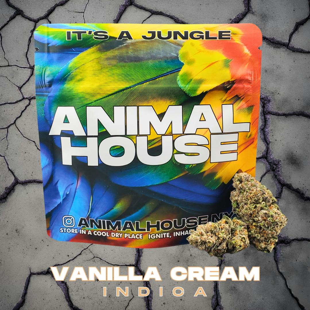 Animal House | Vanilla Cream Flower