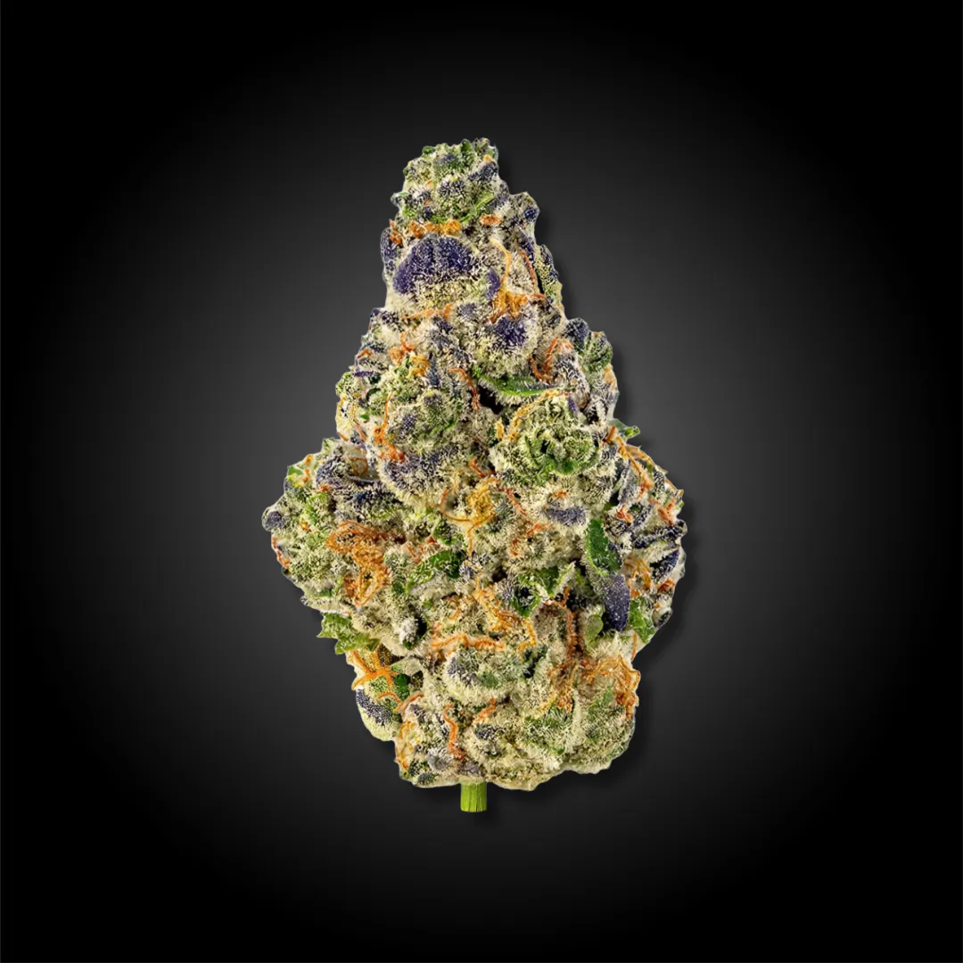 Planet 13 FL - Jacksonville Roosevelt - Cannabis Dispensary