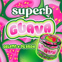 Superb Cannabis - Rosin - Guava - product image at King of Budz