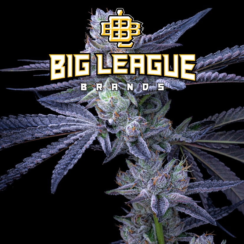 Big League Brands | Lemon Cherry Runtz