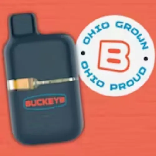 Buckeye Relief | Blueberry Funk (Live Resin) Dank Tank Disposable 1g | Indica-1