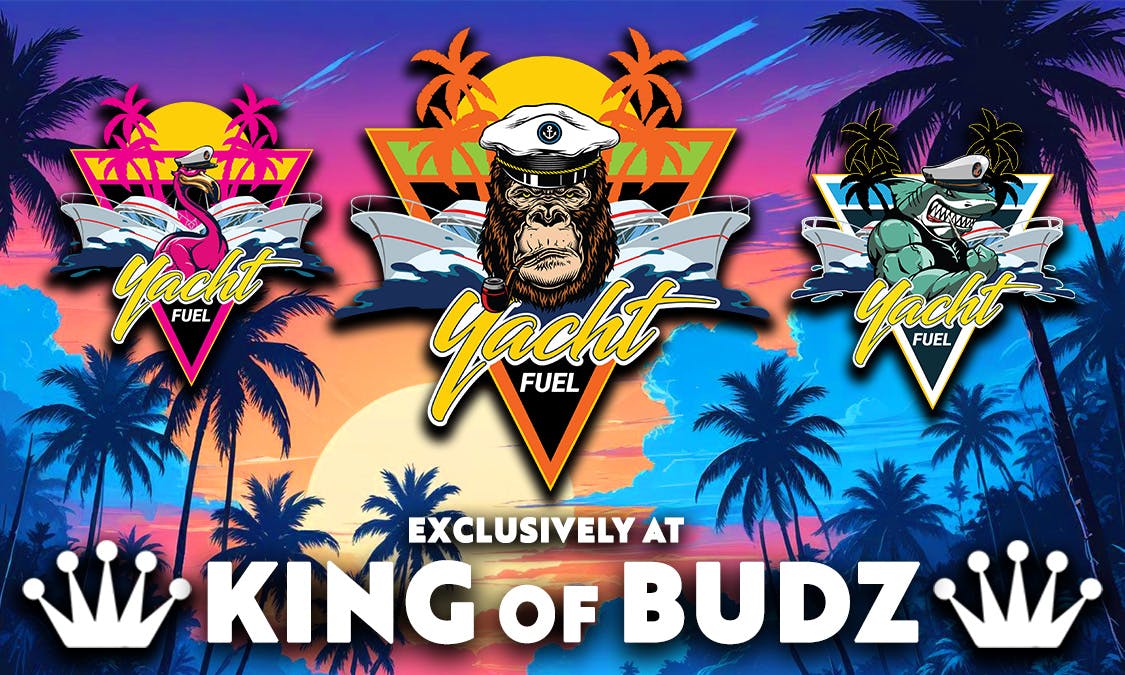 Yacht Fuel - 1g Disposable - Strawberry Daquiri (S)