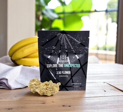 Anthologie Banana Mac Flower-1