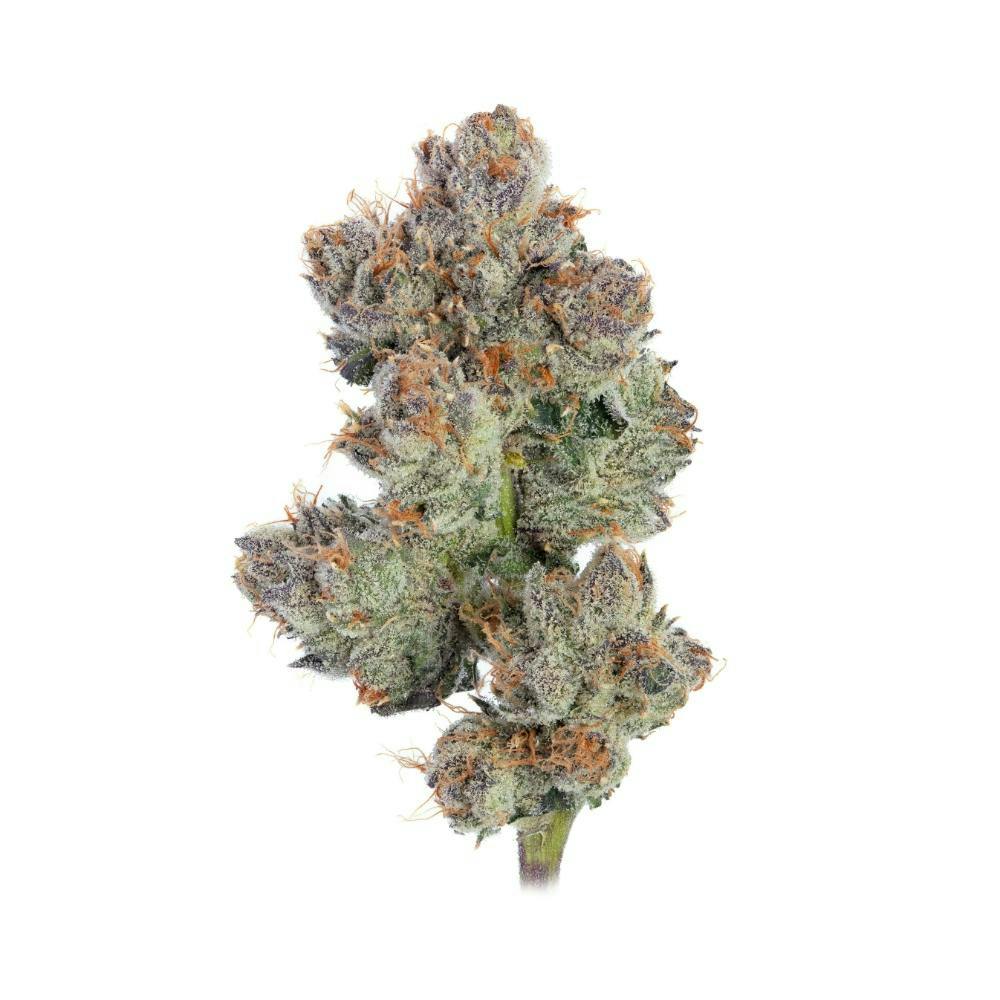 RED EYE CANNA REDEYE CANNABIS | GALACTIC WARHEADZ | BULK | HYBRID — FLOWER